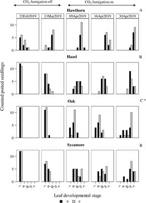 Elevated CO2 does not improve seedling performance in a naturally regenerated oak woodland exposed to biotic stressors